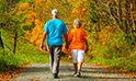 Bequests Stories